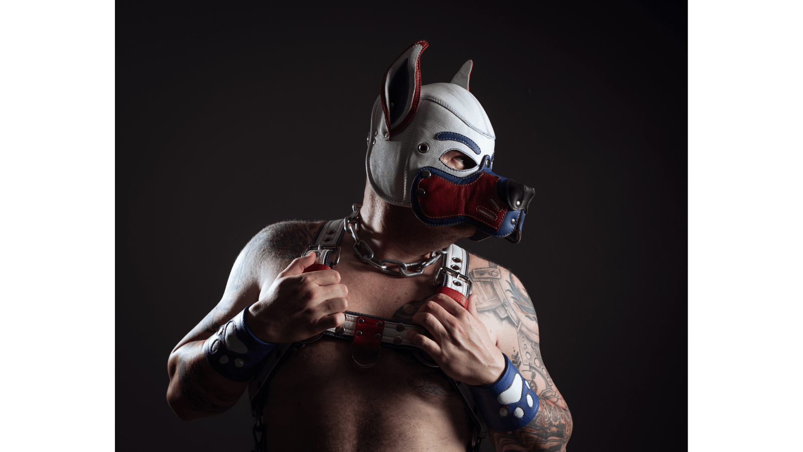 Pup Drogo