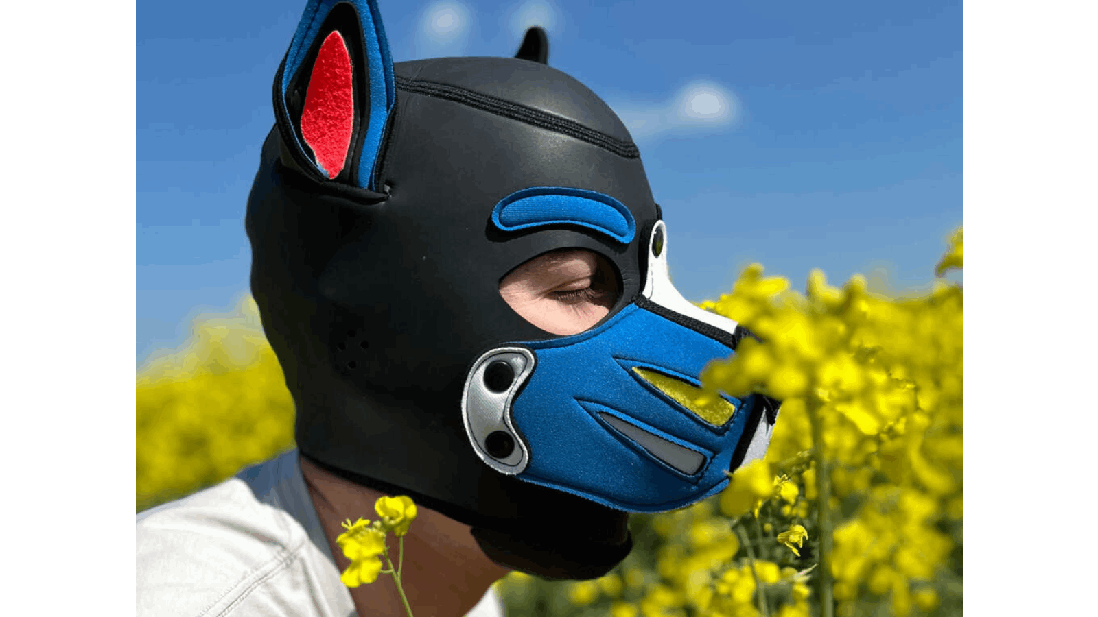 Pup out doors smelling the flowers